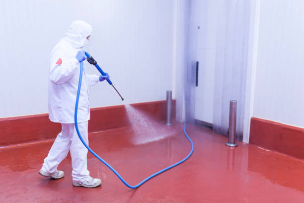 Best Concrete Sealing  in St Anthony, MN